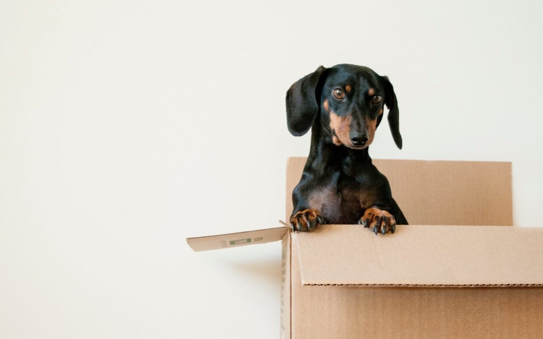 What Motivates a Move? Three Key Reasons People Relocate