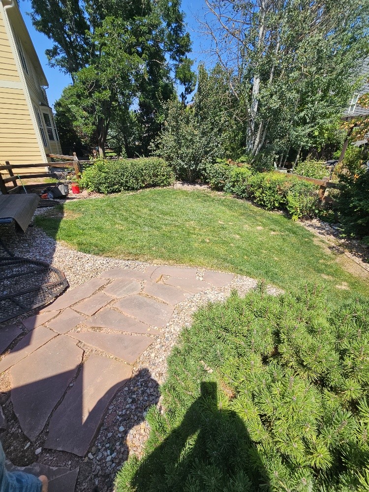 Spacious 5-Bedroom Home in Prestigious Fossil Ridge School District – Observatory Village, Fort Collins