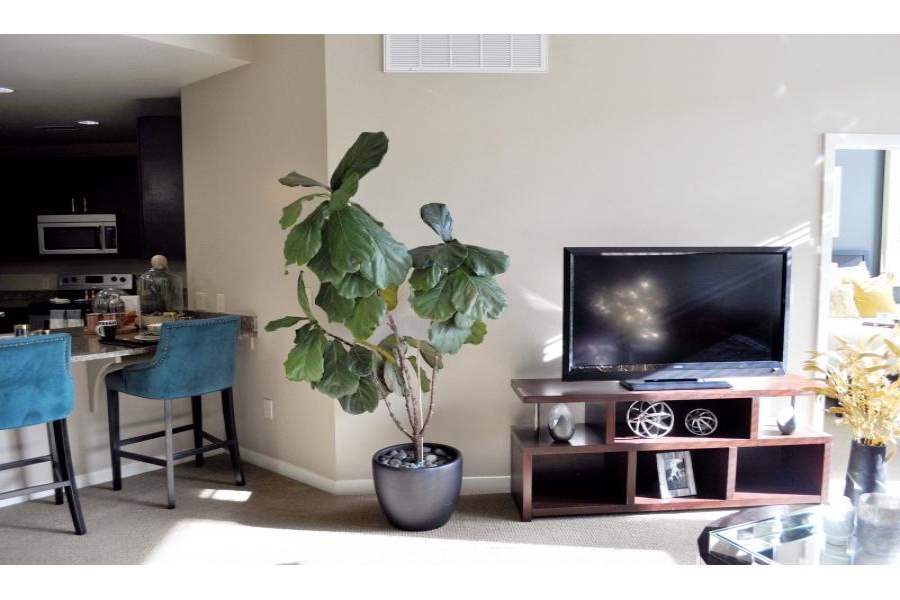 Boulder, Colorado, ,Apartment,Furnished,30th St,1038
